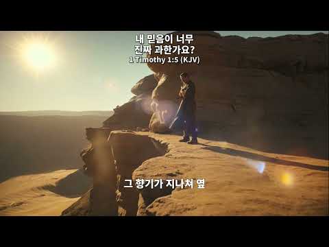 ✝️ 내 믿음이 너무 진짜 과한가요?